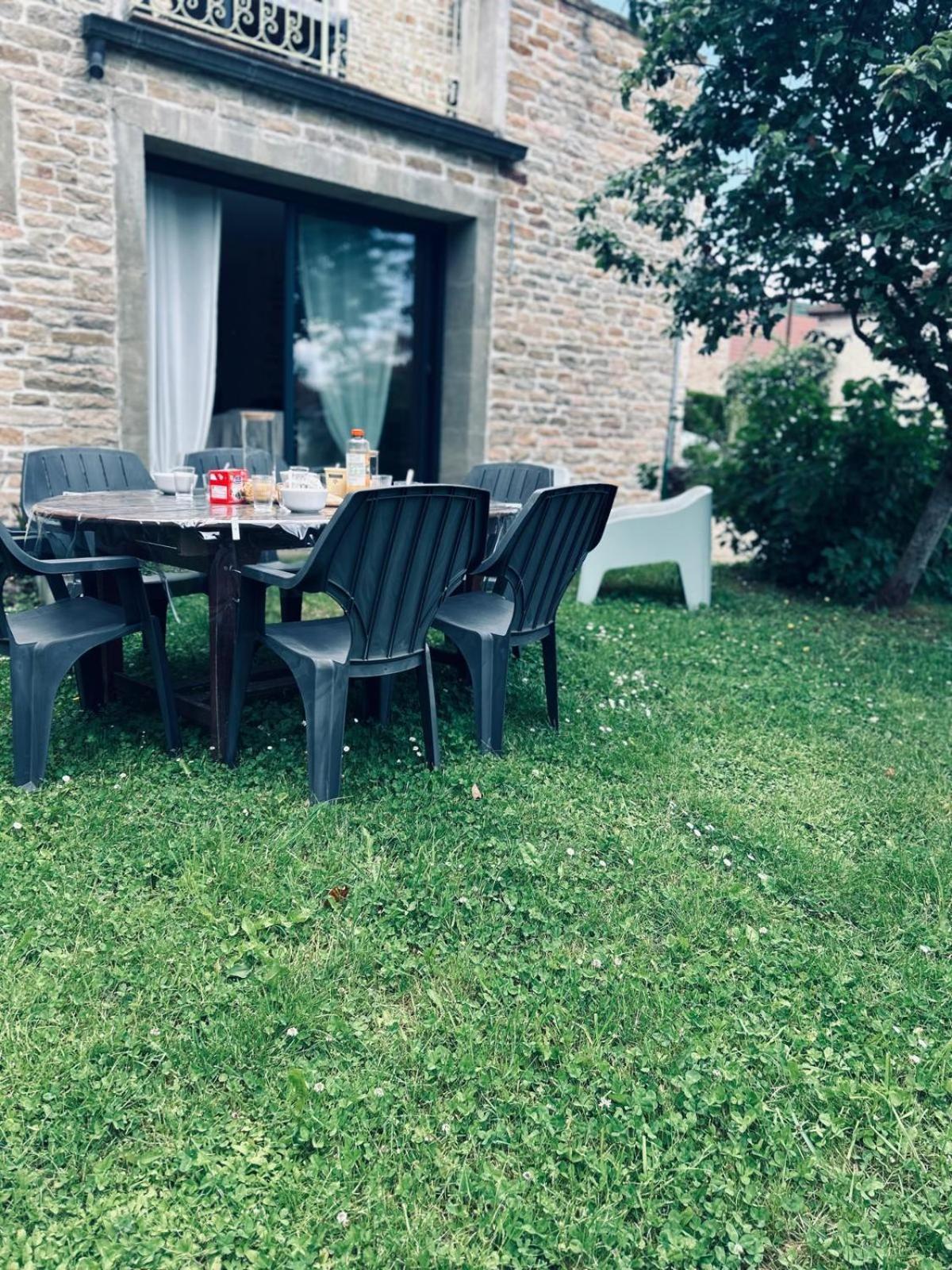 Appartement 3 Etoiles Tout Confort Et Spacieux En Campagne Bourguignonne Mancey Екстер'єр фото